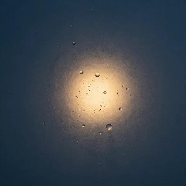 Duchas Frías: El Hábito que Transforma tu Energía Matutina